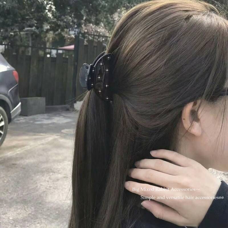 French Elegant Resin Small Cla - đánh giá và giá Hanbok Hair Pin